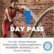 1 DAY PASS