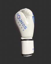 Load image into Gallery viewer, BOXING GLOVES